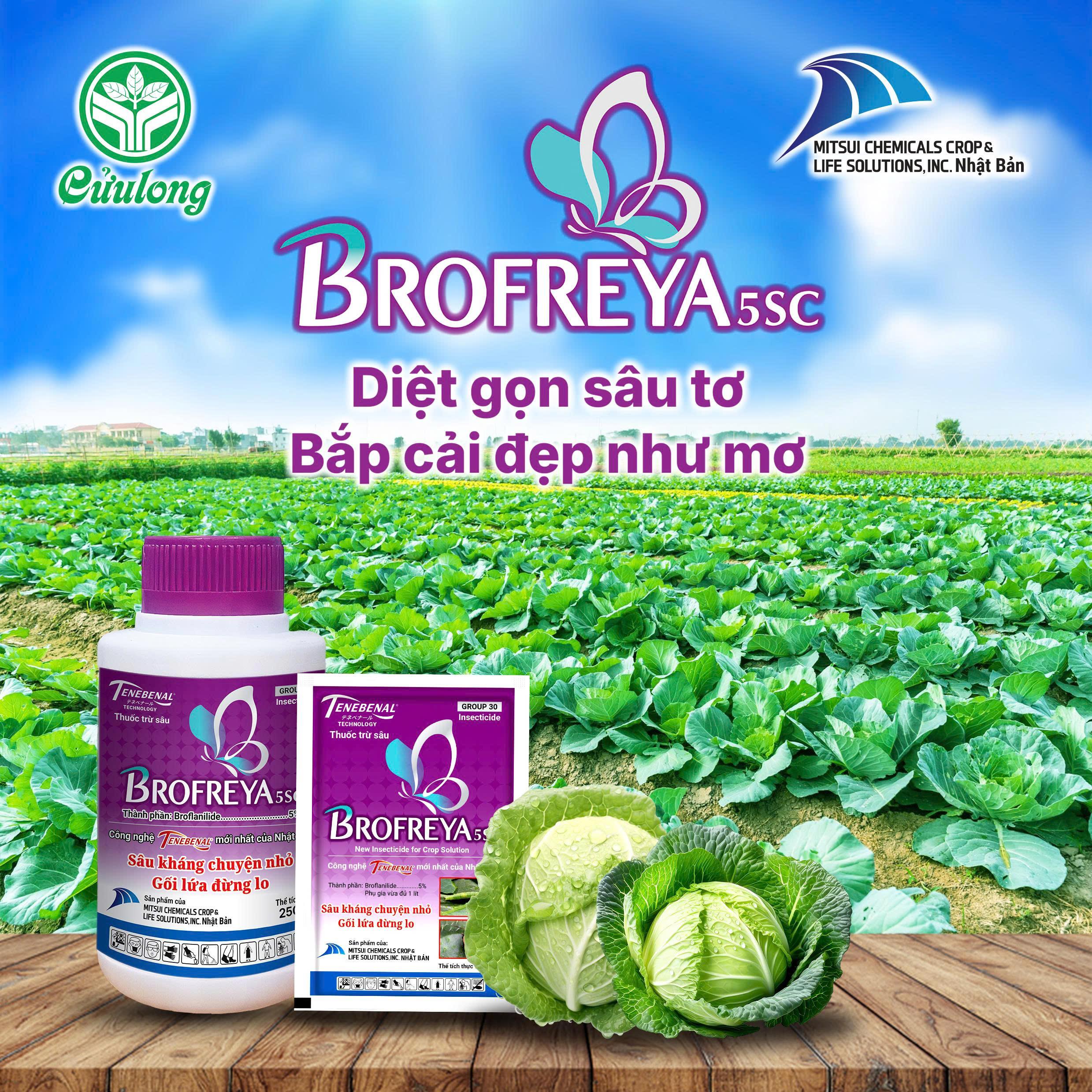 BROFREYA 5SC HIỆU QUẢ CAO TRỪ SÂU TƠ 